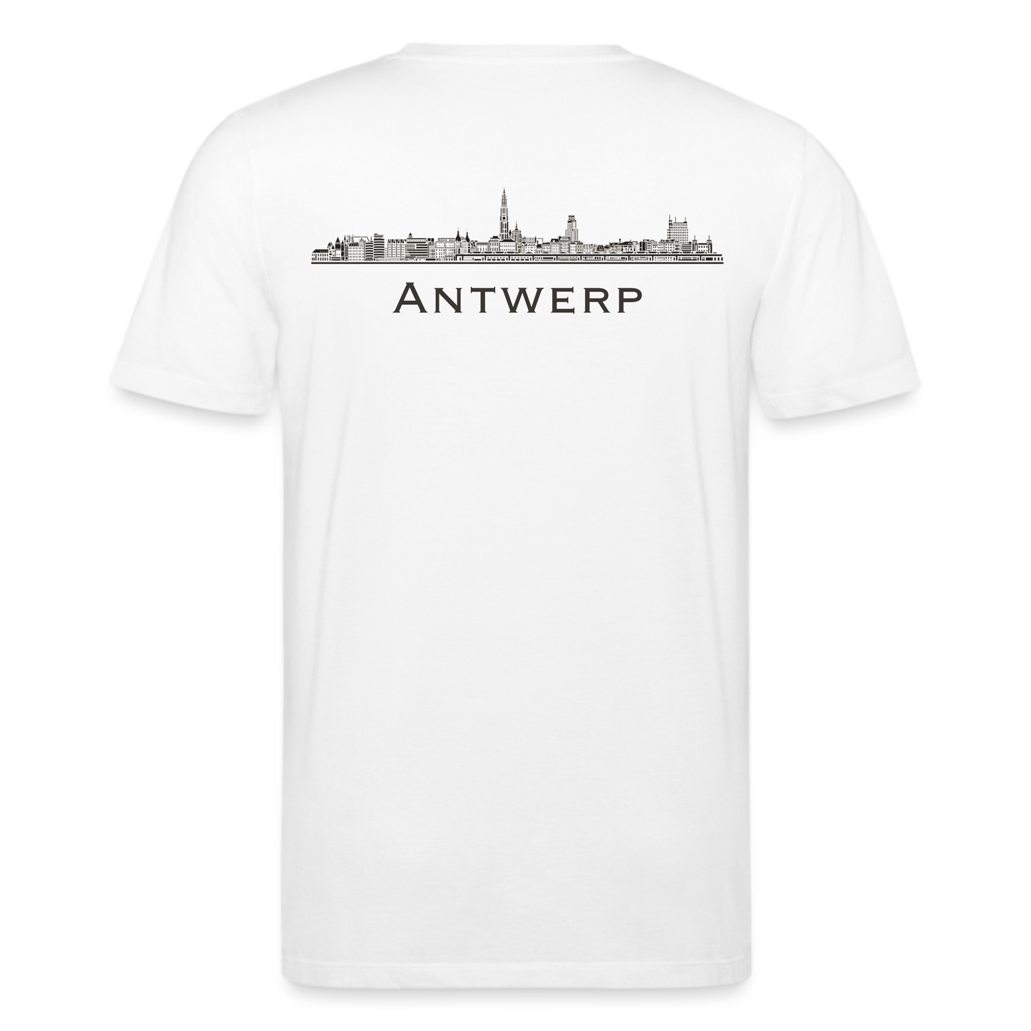 Antwerp Skyline