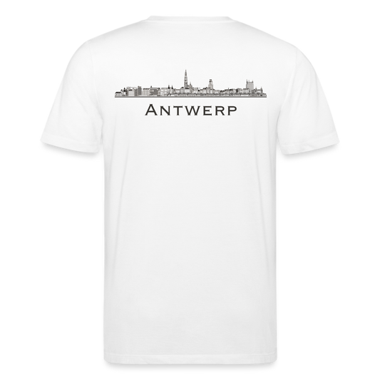 Antwerp Skyline